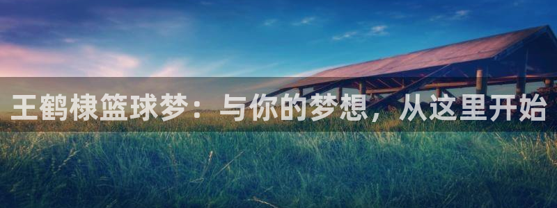 星空·综合体育官网：王鹤棣篮球梦：与你的梦想，从这里开始