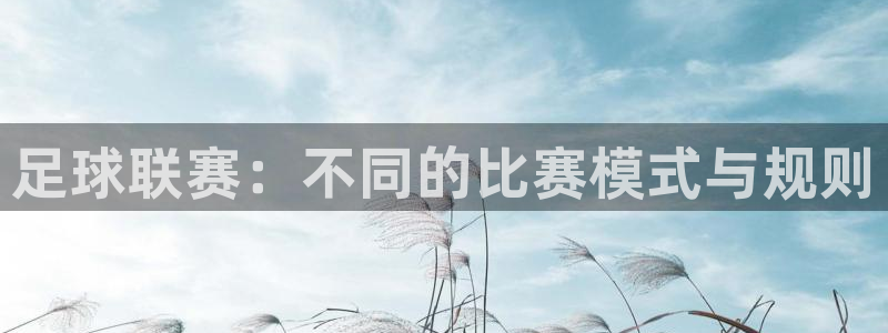 天空体育球员排名：足球联赛：不同的比赛模式与规则