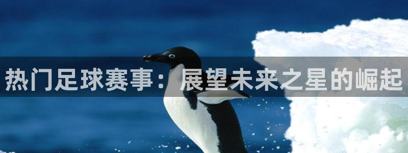 星体体育：热门足球赛事：展望未来之星的崛起