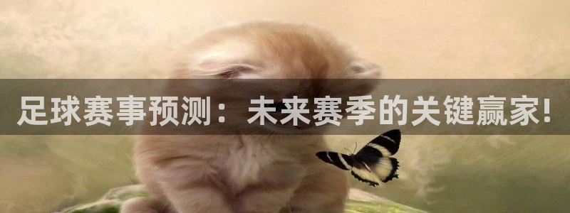 天空体育是什么：足球赛事预测：未来赛季的关键赢家!